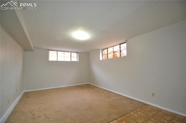 basement with carpet