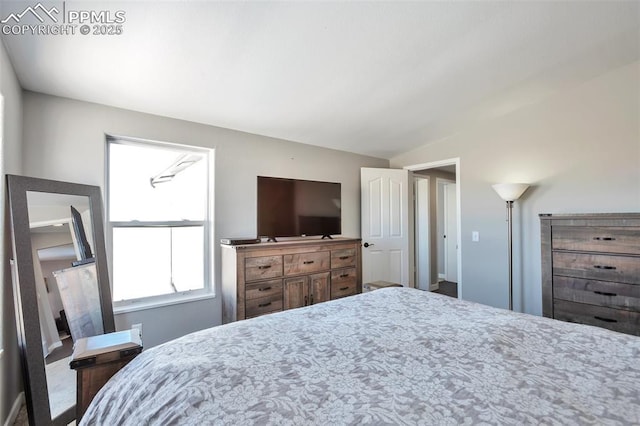 bedroom featuring vaulted ceiling