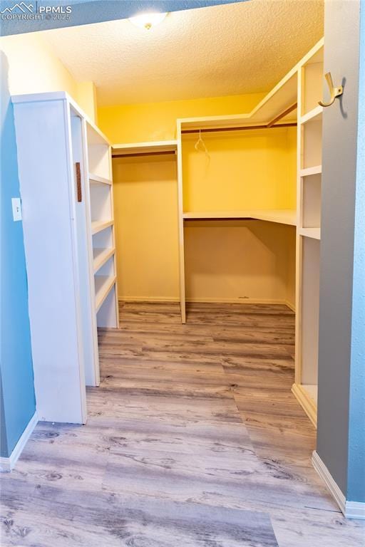 walk in closet featuring wood-type flooring