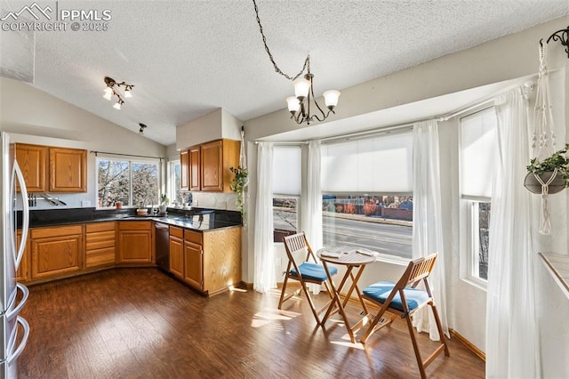 kitchen with lofted ceiling, dark hardwood / wood-style floors, appliances with stainless steel finishes, a textured ceiling, and a chandelier