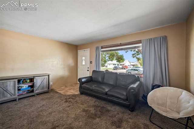 living room with carpet floors