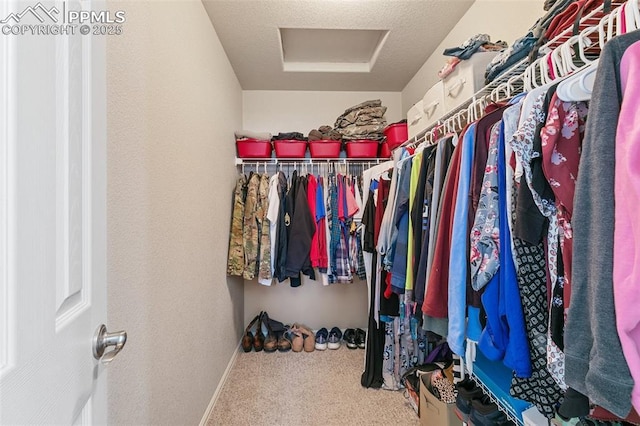 spacious closet featuring carpet floors and attic access