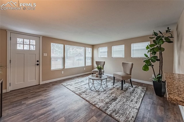 living area with dark wood-type flooring