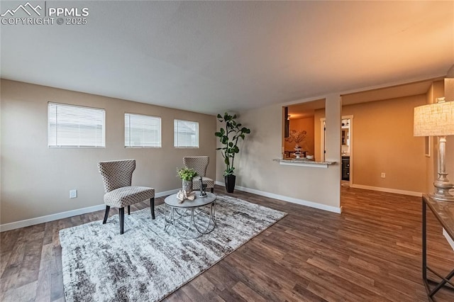 sitting room with dark wood-type flooring