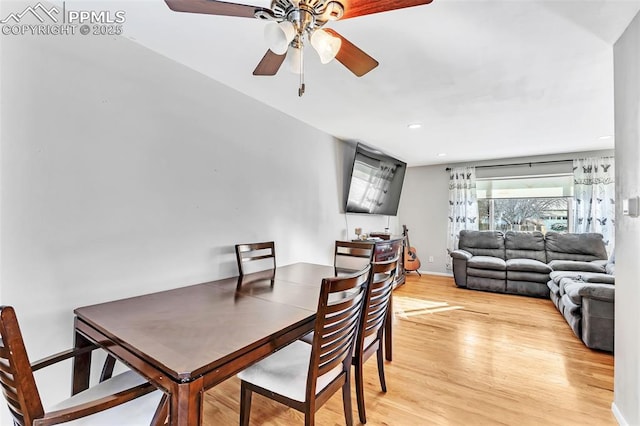 dining room with ceiling fan and light hardwood / wood-style flooring