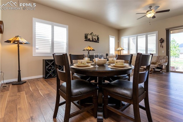 dining area with ceiling fan and hardwood / wood-style flooring