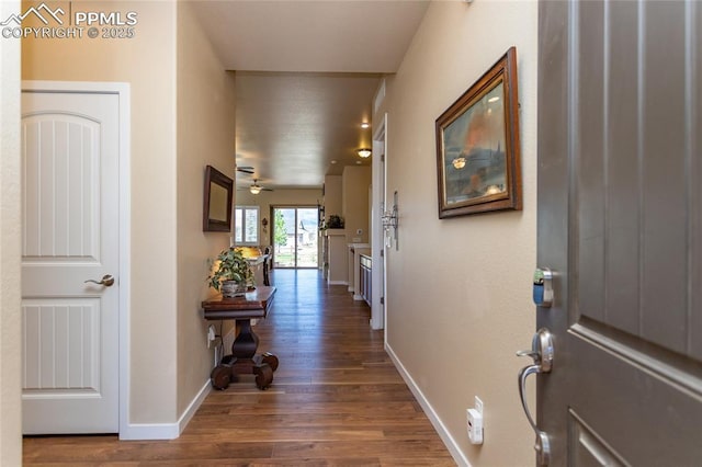 corridor with dark hardwood / wood-style floors