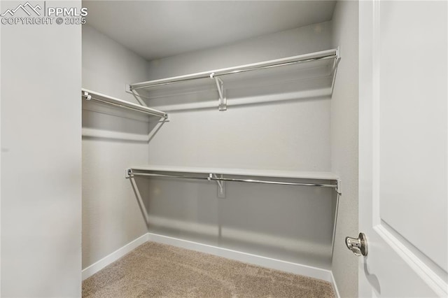 16896 Greenfield Dr, Monument, CO 80132 - spacious closet featuring carpet