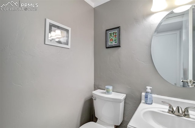 bathroom with sink, toilet, and crown molding