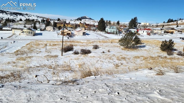 Listing photo 3 for Silver St, Cripple Creek CO 80813