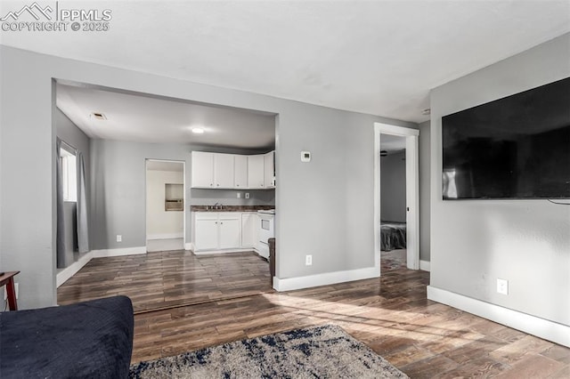 living room featuring sink and hardwood / wood-style floors