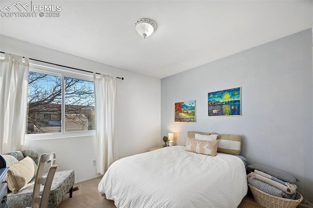 view of carpeted bedroom