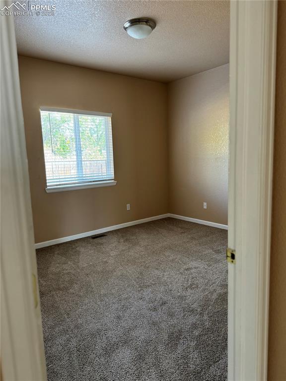 spare room featuring carpet floors and a textured ceiling