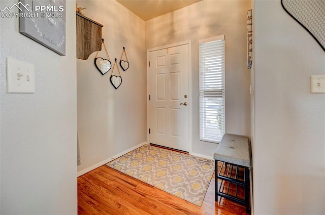 entrance foyer featuring hardwood / wood-style floors