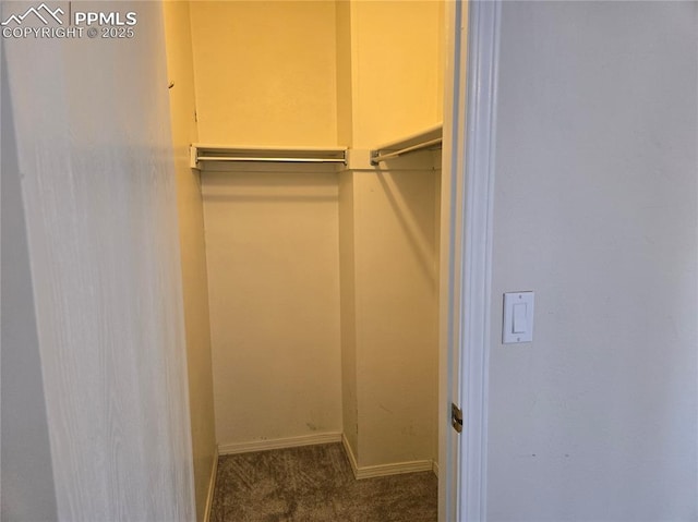 walk in closet with dark carpet