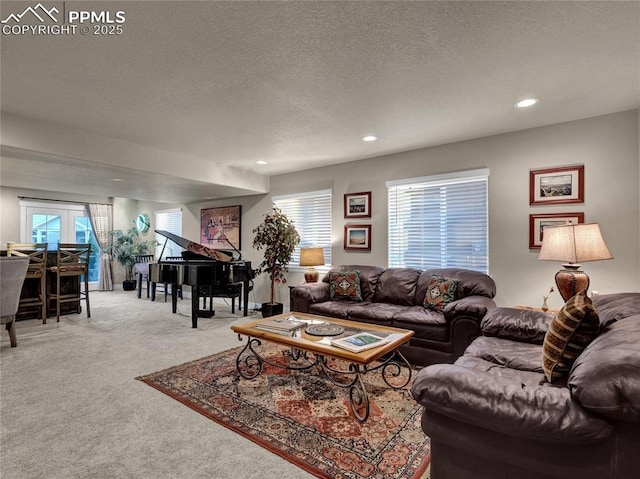 carpeted living room with a textured ceiling