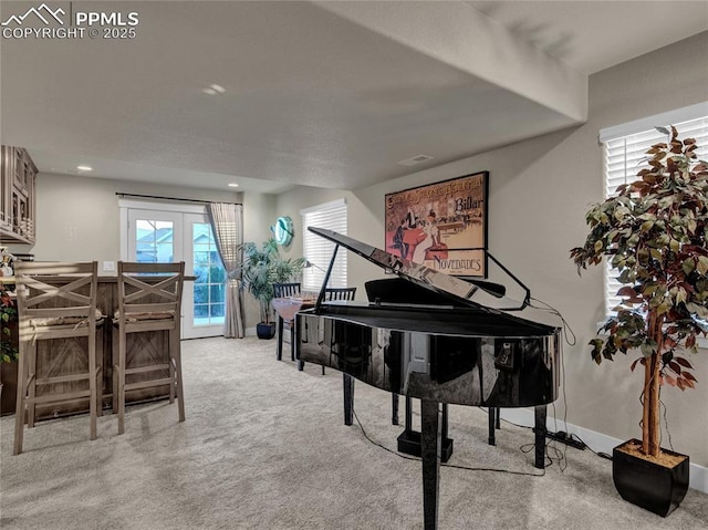 misc room featuring light colored carpet, a wealth of natural light, and french doors