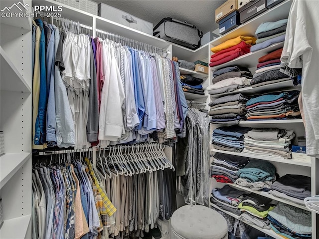 view of spacious closet