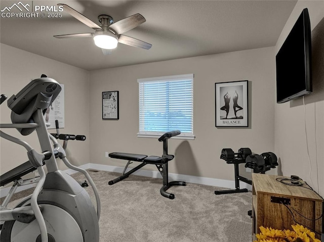 exercise room with ceiling fan and carpet flooring