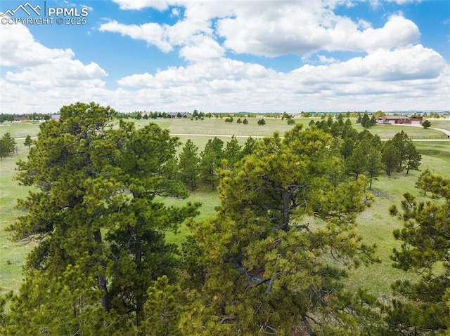 18350 Pinon Park Rd, Peyton, CO 80831