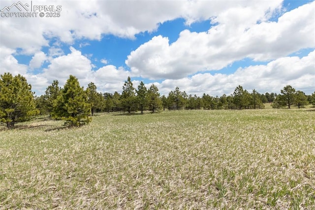 18350 Pinon Park Rd, Peyton, CO 80831