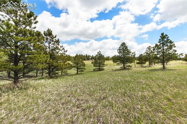 18350 Pinon Park Rd, Peyton, CO 80831
