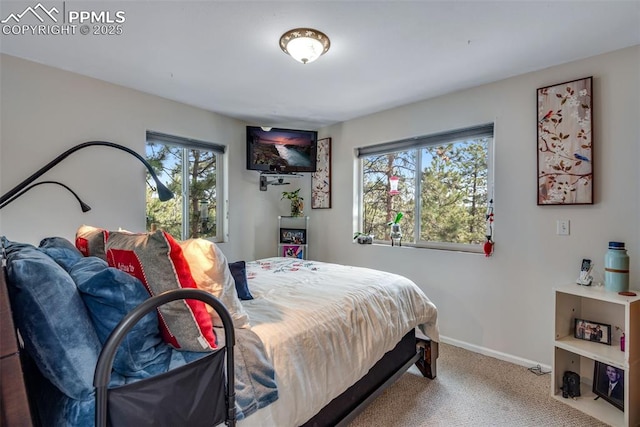 carpeted bedroom featuring multiple windows