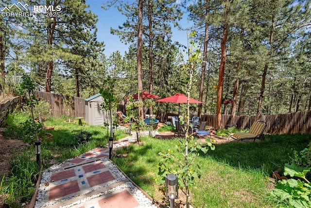 view of yard featuring a storage unit and a patio