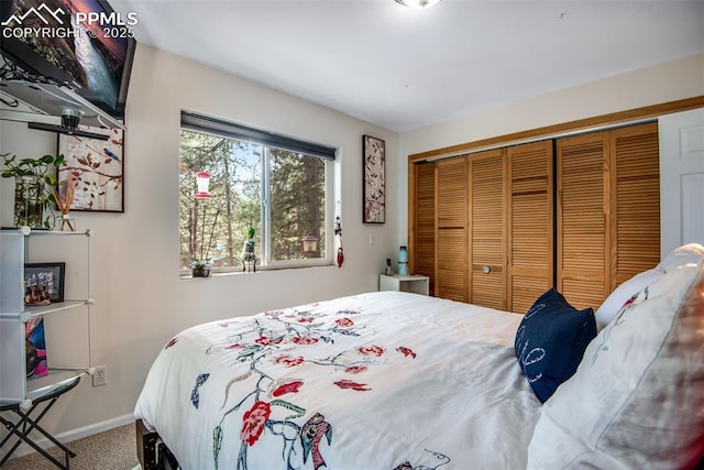 bedroom with a closet and carpet