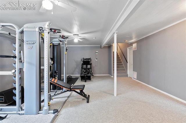 exercise room featuring ceiling fan, carpet, and crown molding