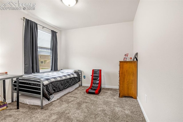 bedroom featuring carpet floors