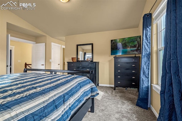 bedroom with carpet flooring