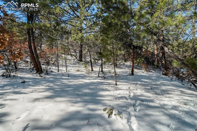 16116 Cala Rojo Dr, Colorado Springs CO, 80926 land for sale