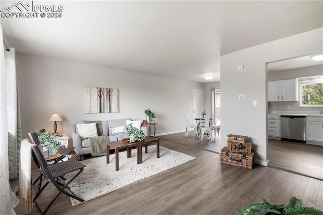 living room with dark hardwood / wood-style floors