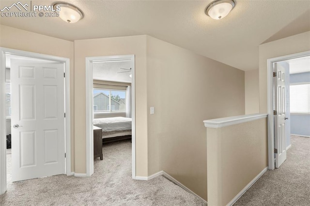 hallway with light colored carpet and plenty of natural light