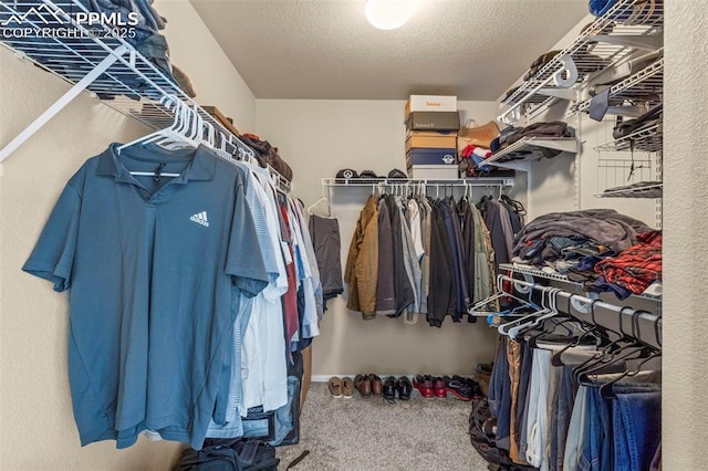 walk in closet featuring carpet flooring