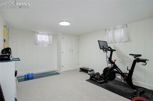 exercise area with carpet flooring