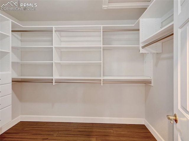 spacious closet featuring dark wood-type flooring