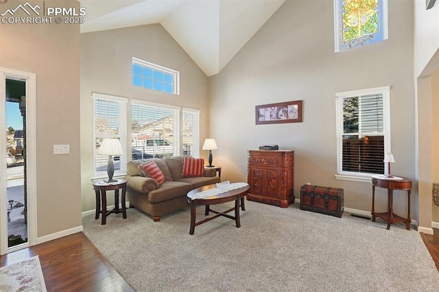 living room with dark hardwood / wood-style flooring and high vaulted ceiling