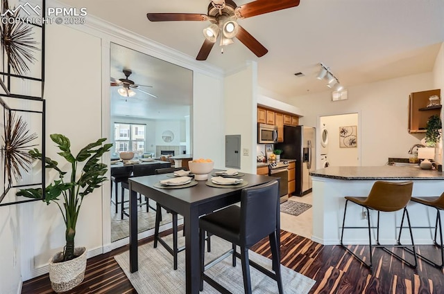 dining room featuring a fireplace, dark hardwood / wood-style floors, electric panel, and rail lighting