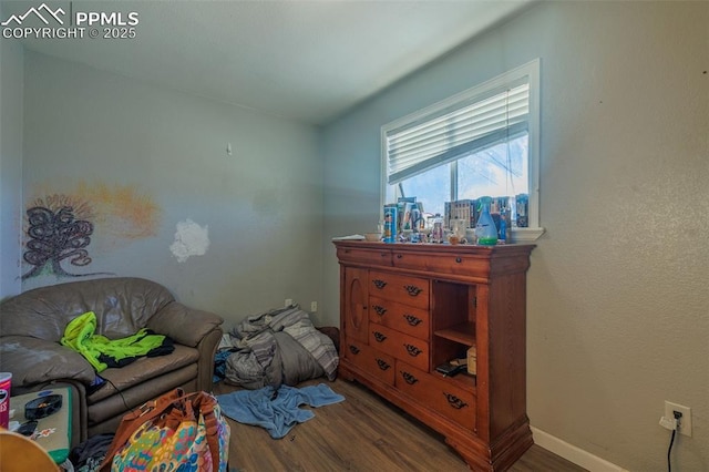 bedroom featuring wood-type flooring