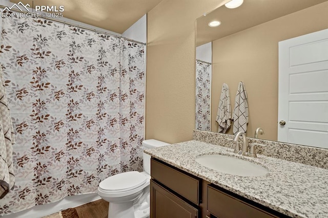 bathroom featuring vanity, wood-type flooring, and toilet