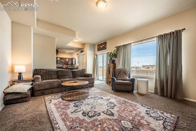 living room featuring carpet floors