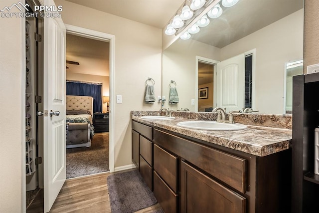 bathroom with hardwood / wood-style floors and vanity