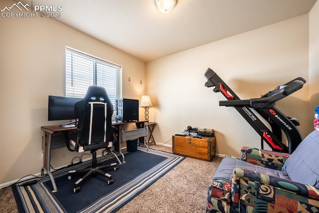 home office with carpet flooring