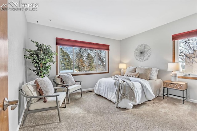 view of carpeted bedroom