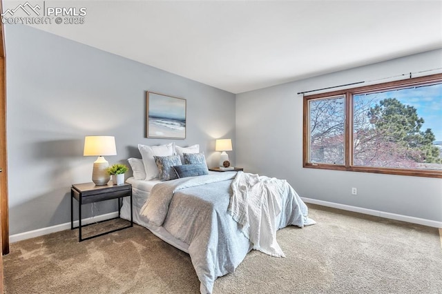 bedroom with carpet flooring