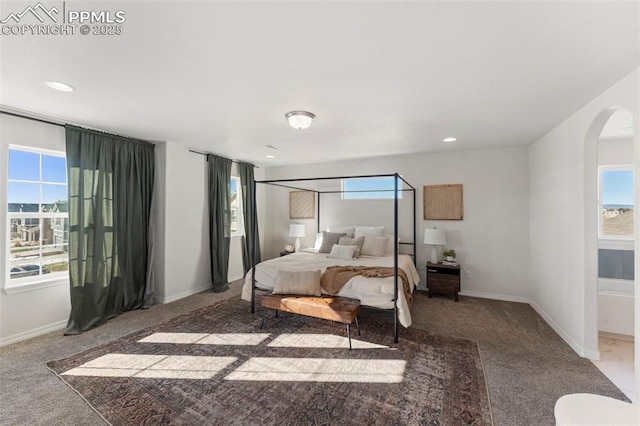 carpeted bedroom with multiple windows