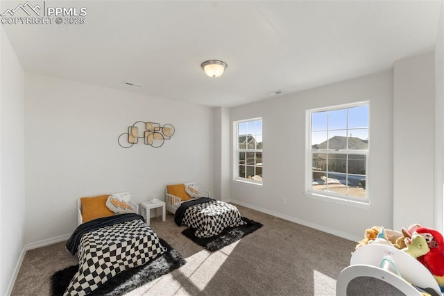 bedroom with carpet flooring