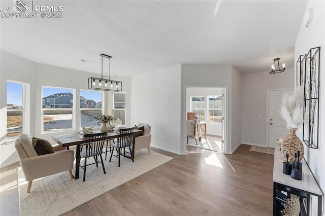 dining space featuring a wealth of natural light, light hardwood / wood-style floors, and a notable chandelier